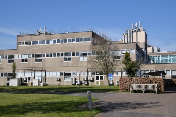 Mott Building, Cavendish II